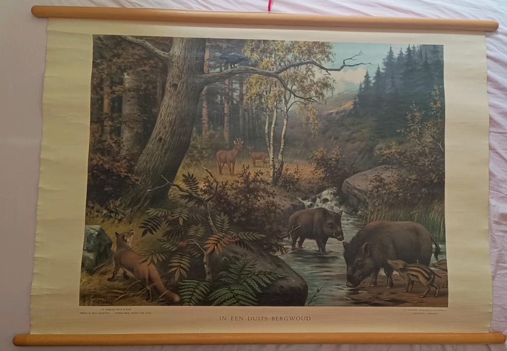 Schoolplaat 'In een Duits Bergwoud', Ophalen, 100 tot 125 cm, Overige typen, 50 tot 75 cm
