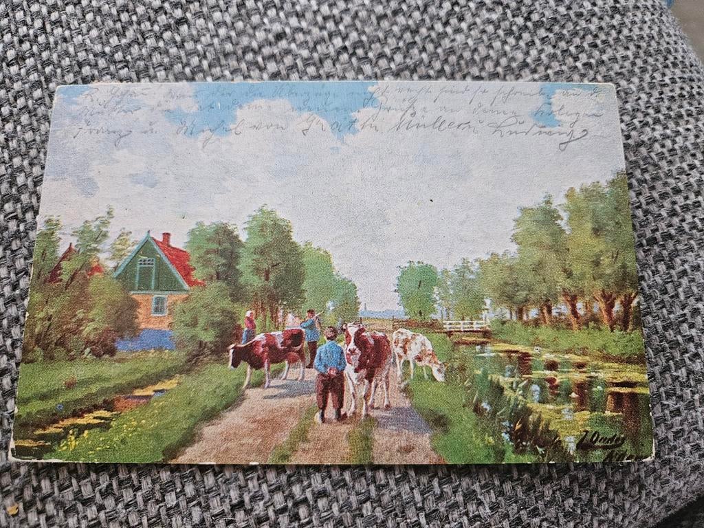 koeien en boerderij / oudes, Ophalen of Verzenden