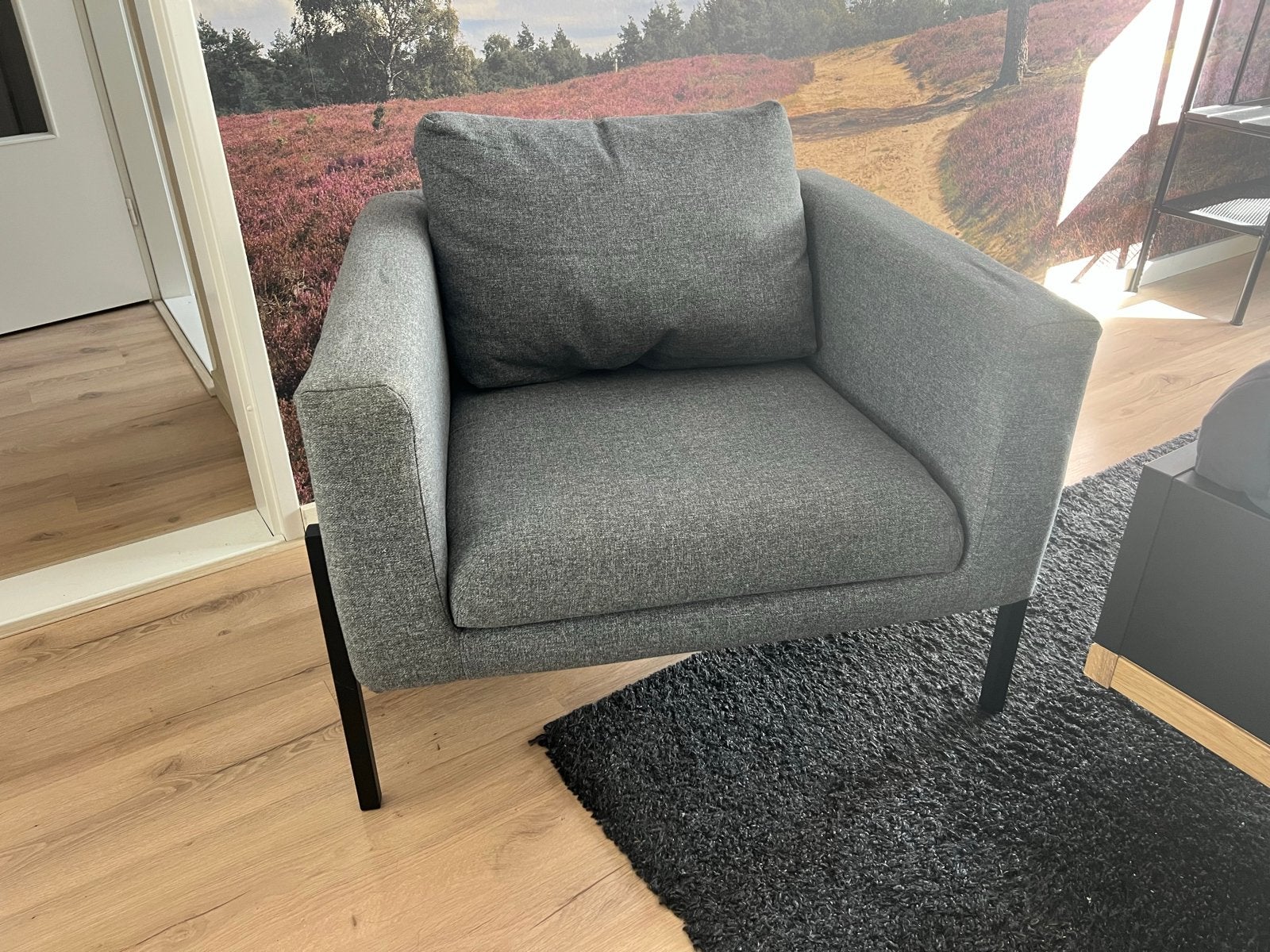 IKEA EKTORP fauteuil - Grijs, Ophalen, Gebruikt, Eén, Stof