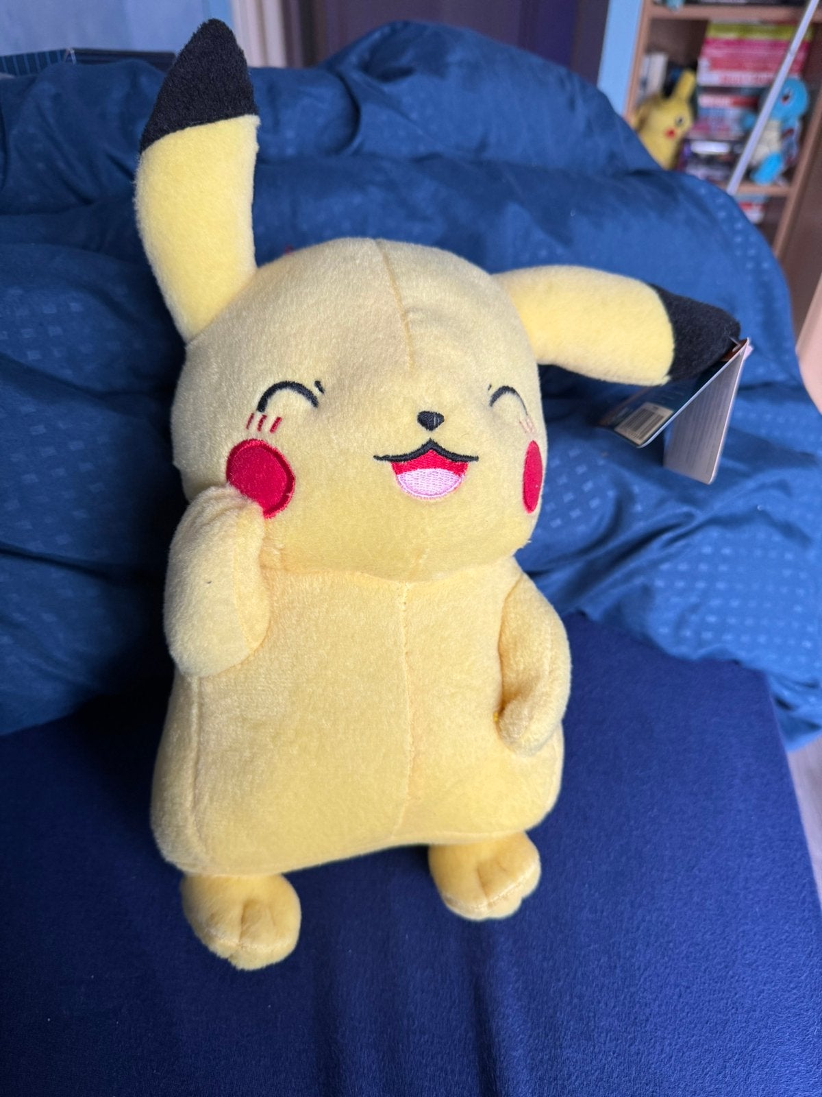 Pikachu knuffel, Ophalen of Verzenden, Zo goed als nieuw, Overige typen