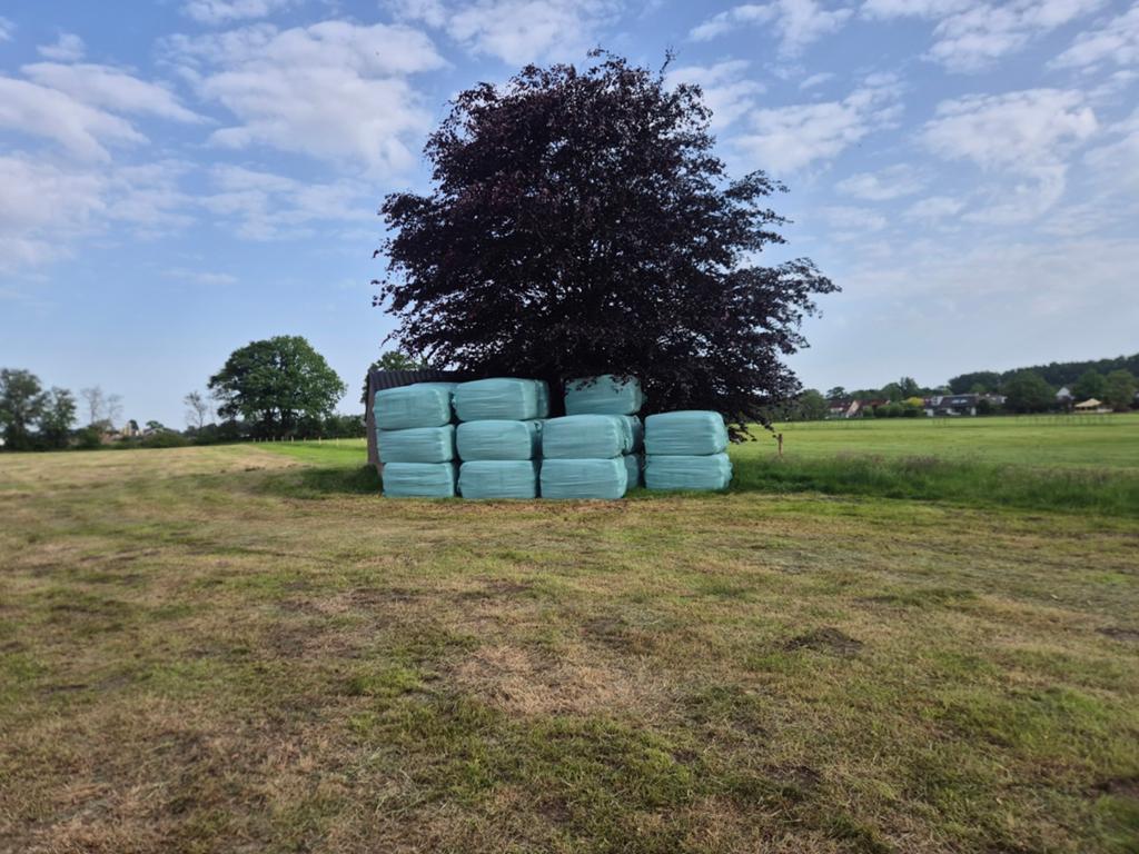 Vierkante balen mooi droog gras