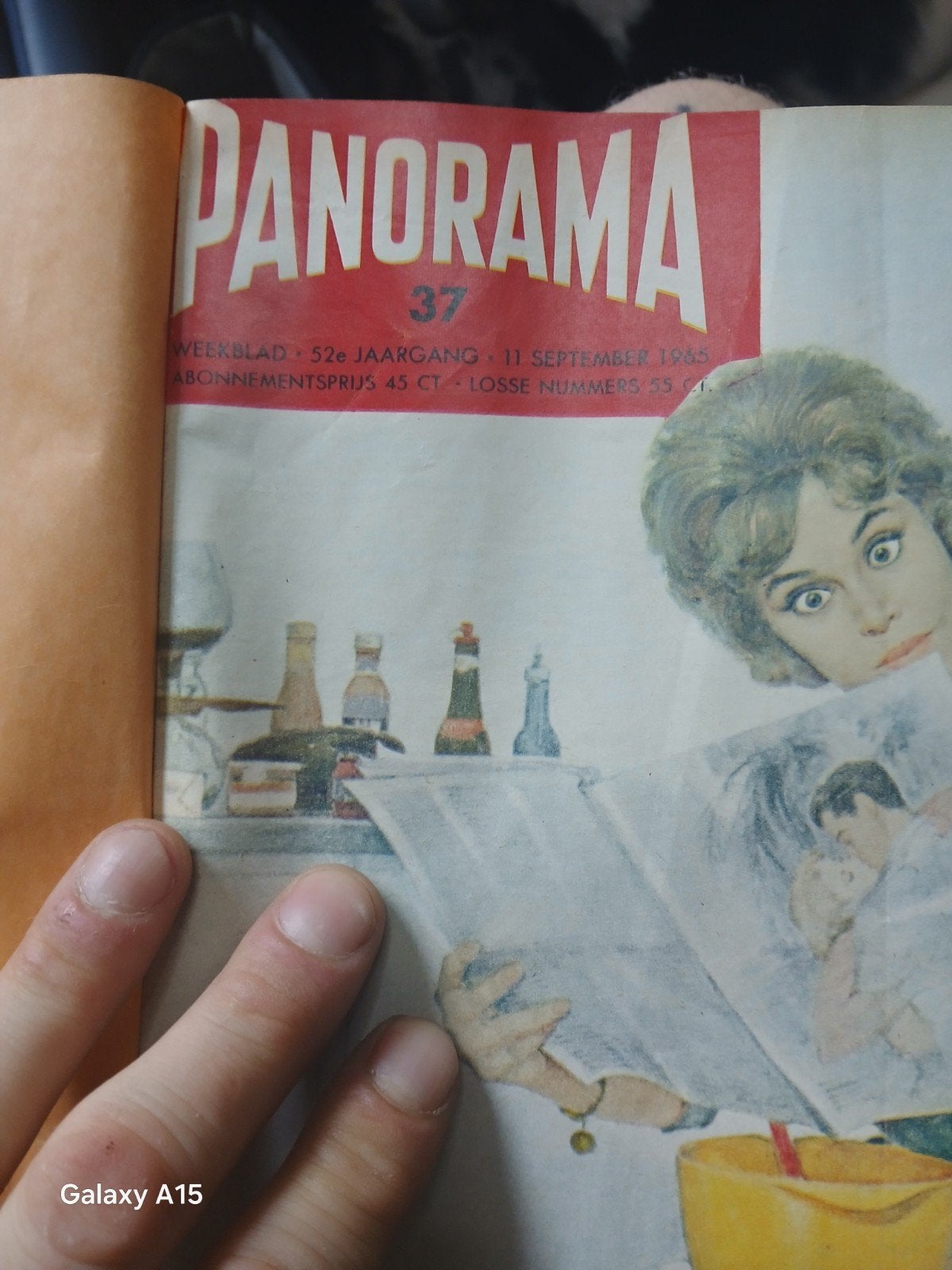 Panorama Jaargang 1965 - Ingebonden Compleet, Boeken, Verzenden