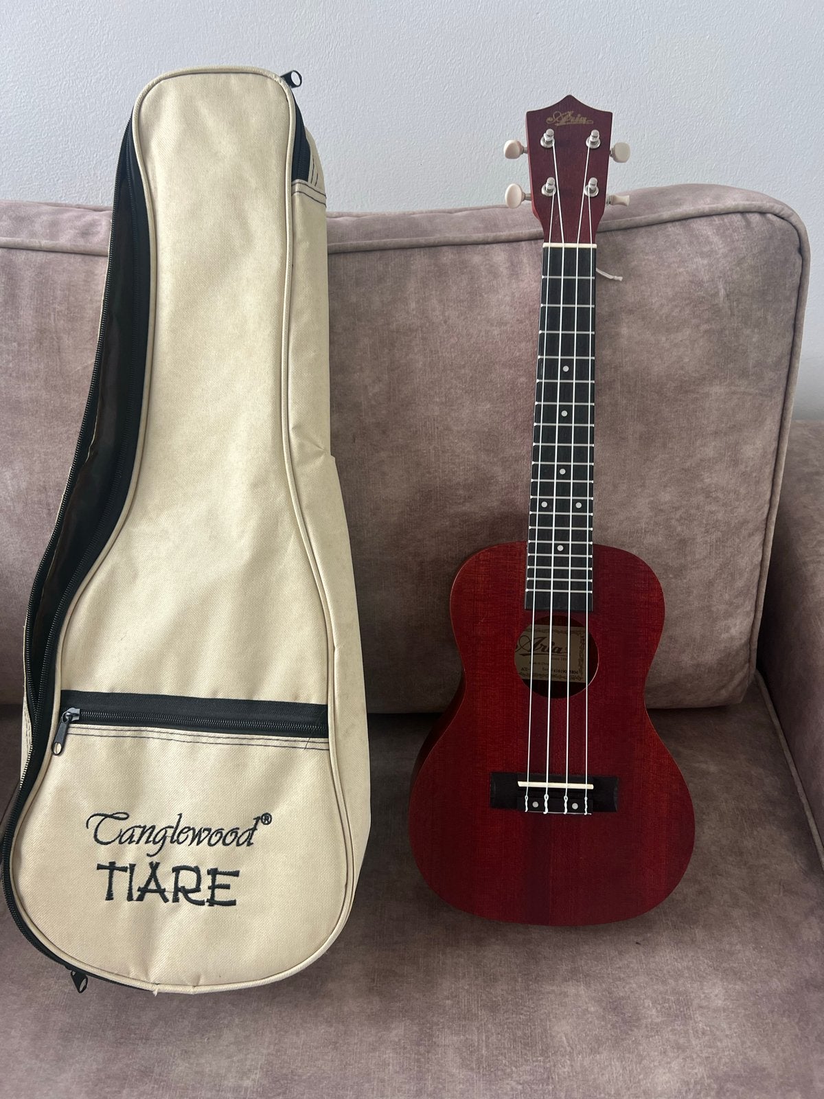 Aria ACU-1 Ukelele met hoes - Zo goed als nieuw, Ophalen of Verzenden, Zo goed als nieuw, Ukelele