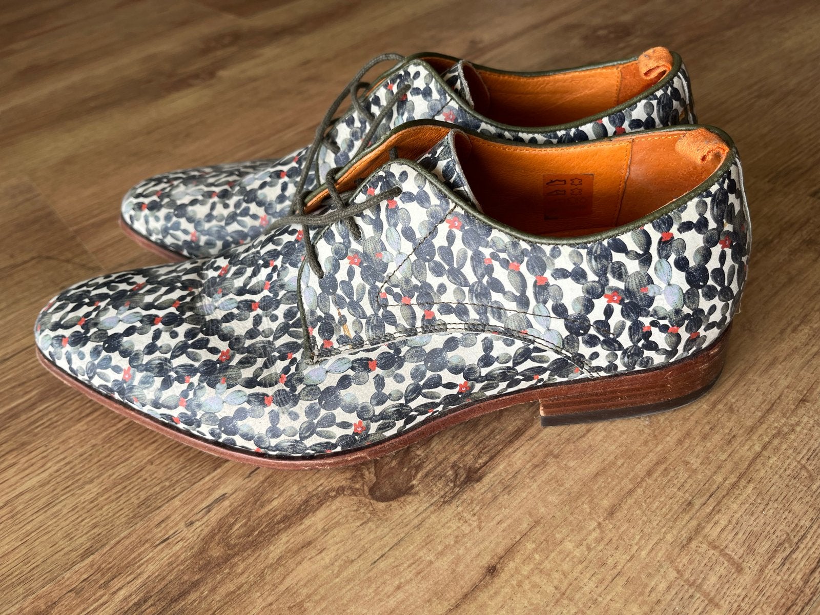 A Fish named Fred schoenen maat 45, Kleding | Heren, Schoenen, Ophalen of Verzenden, Gedragen, Overige kleuren, Veterschoenen