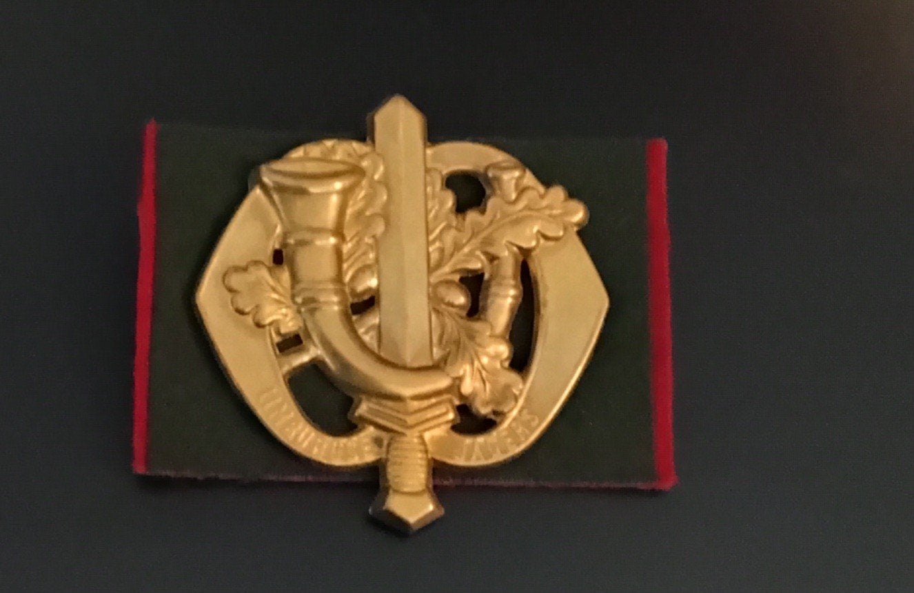 Militair embleem Limburgse Jagers, Verzamelen, Ophalen of Verzenden, Landmacht, Nederland, Embleem of Badge