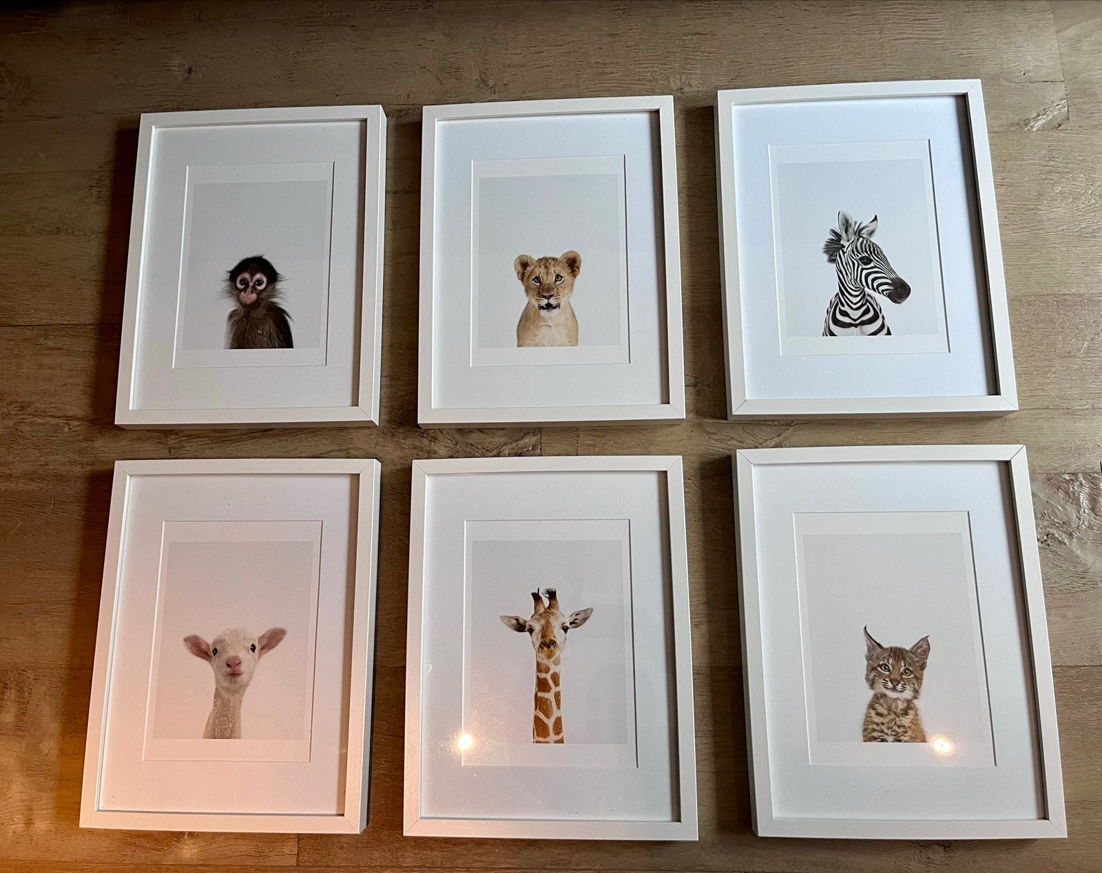 Set van 6 ingelijste dierenprints voor kinderkamer, Ophalen, Minder dan 50 cm, 5 – 50, Print