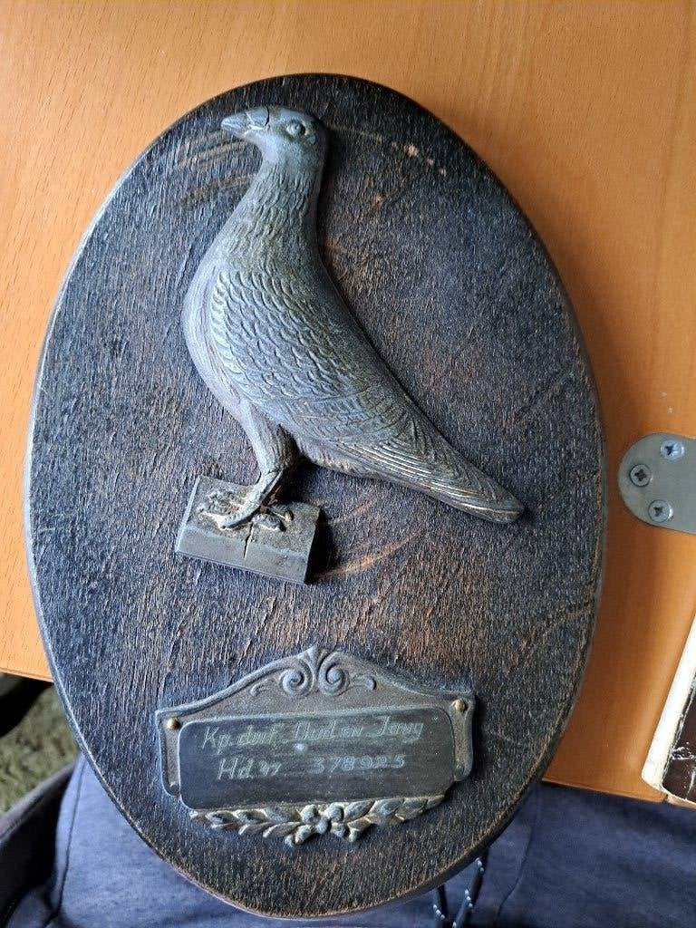 Troffee 1947 Kampioenduif Oud en Jong postduiven, Ophalen of Verzenden, Gebruikt, Poster, Plaatje of Sticker