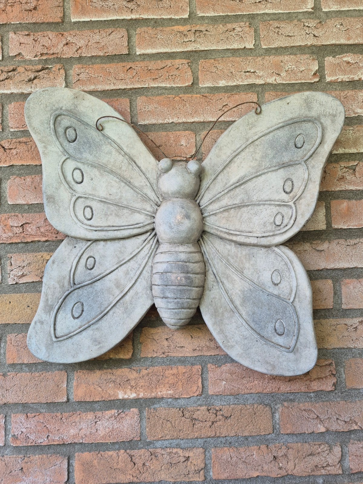 Grijze vlinder van kunstof 50 bij 45 cm, Ophalen, Gebruikt, Kunststof, Dierenbeeld