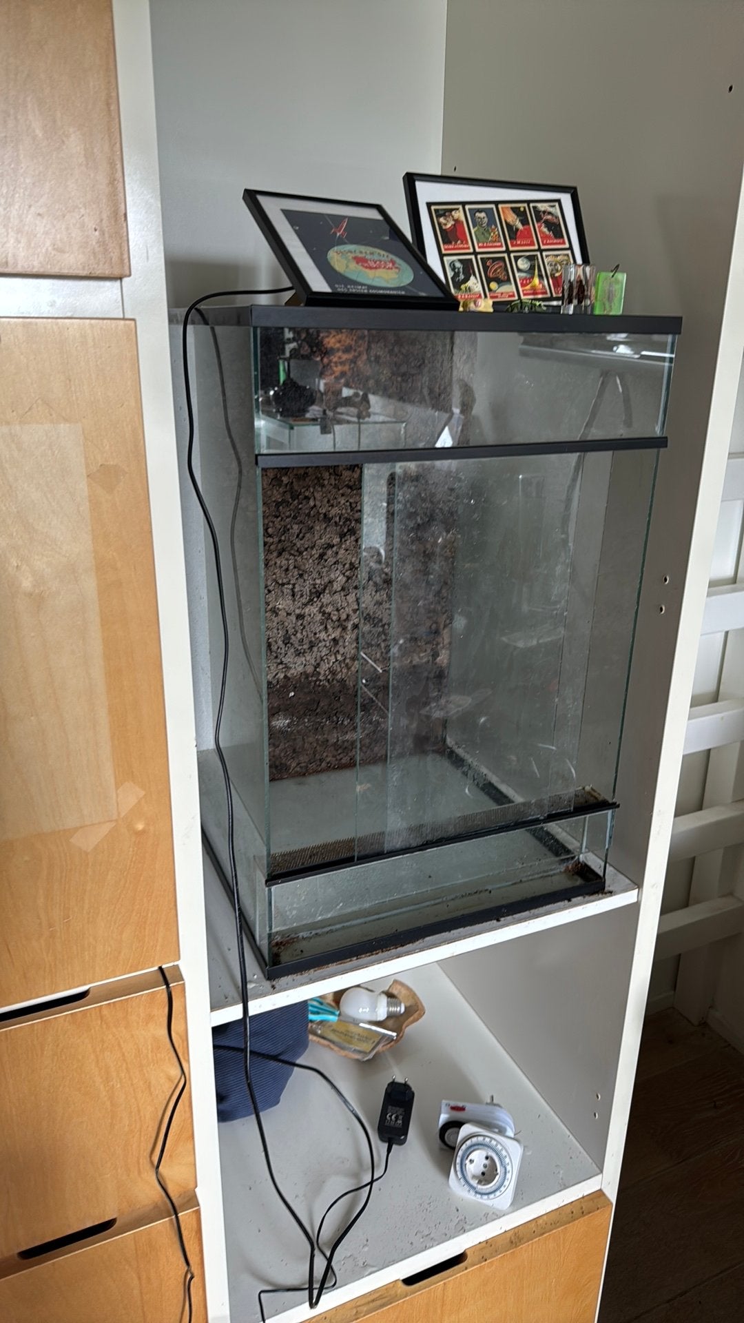 Terrarium 40x40x60, Ophalen, Gebruikt, Terrarium of Paludarium