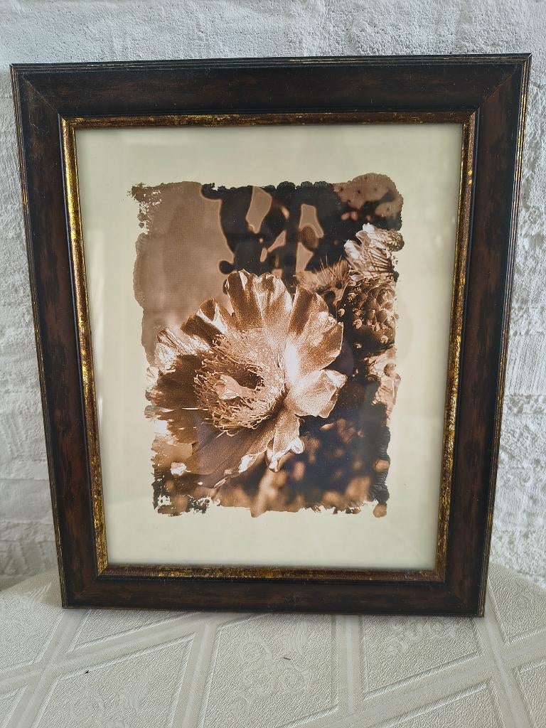 Schilderij met Bloem B.25xH.30 cm, Ophalen, Minder dan 50 cm, Zo goed als nieuw, Schilderij