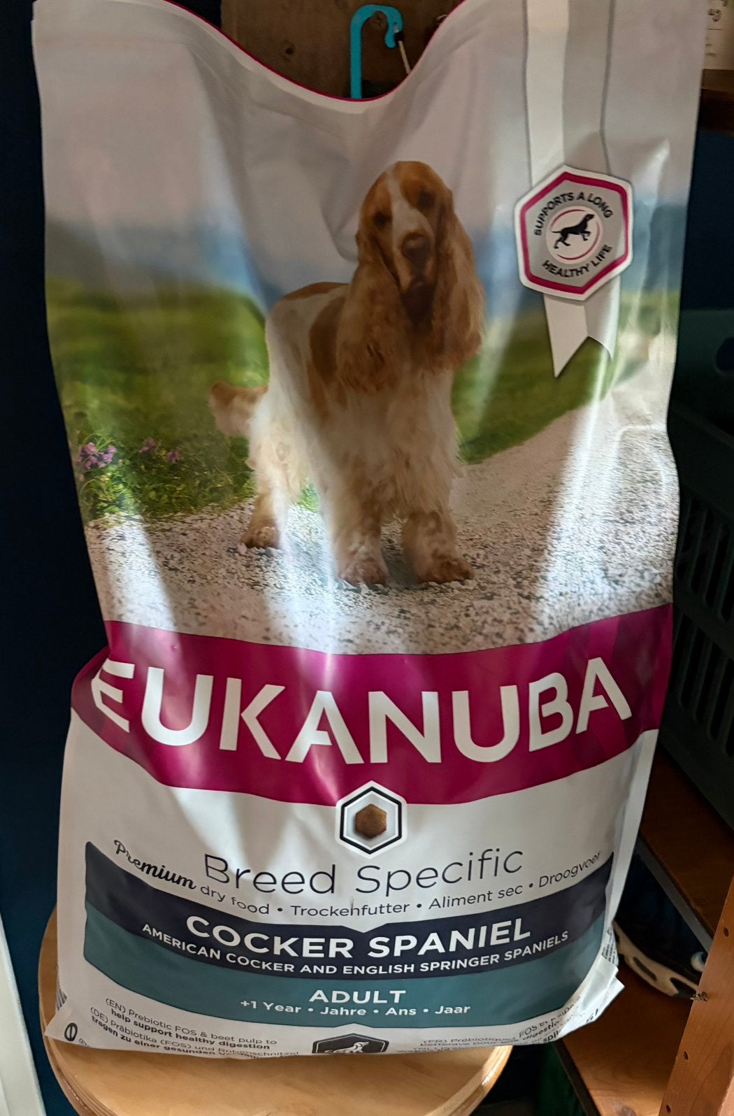 Eukanuba , brokken , cocker spaniël, Dieren en Toebehoren, Ophalen, Hond