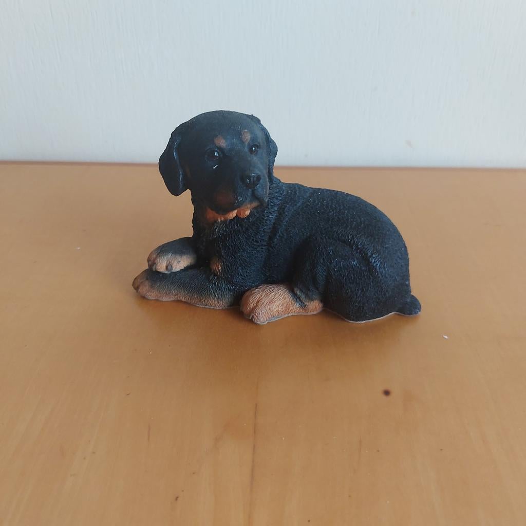 Rottweiler beeldje, Ophalen of Verzenden, Zo goed als nieuw, Beeldje of Figuurtje