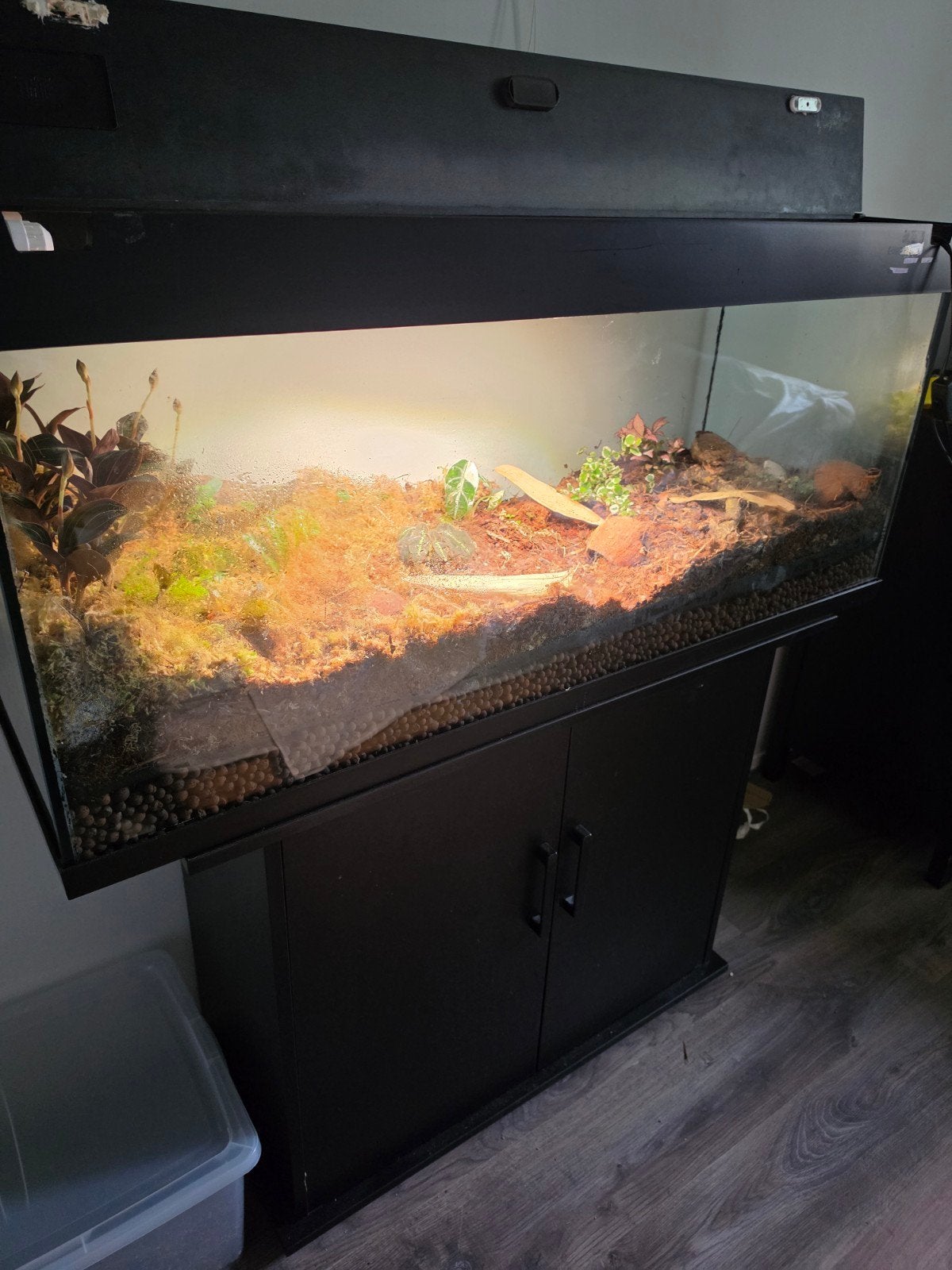 Aquarium / Terrarium / Vivarium, Dieren en Toebehoren, Ophalen