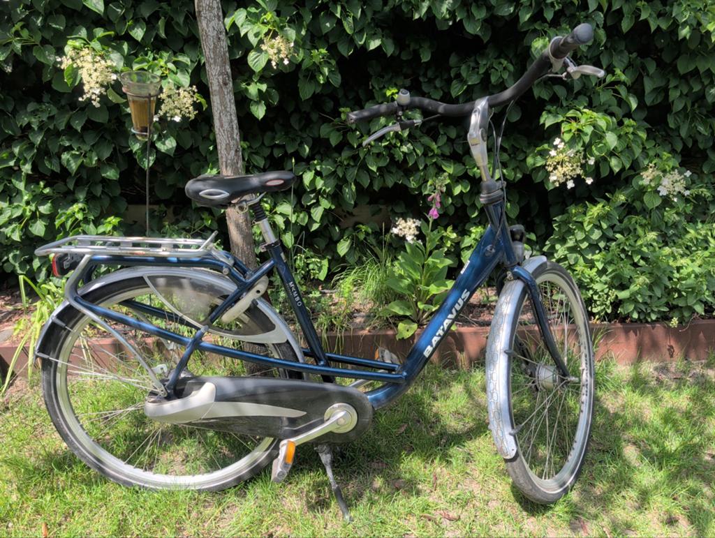 Batavus moederfiets - Gebruikt, opknapper, Ophalen, Batavus, Versnellingen, 0 zitjes