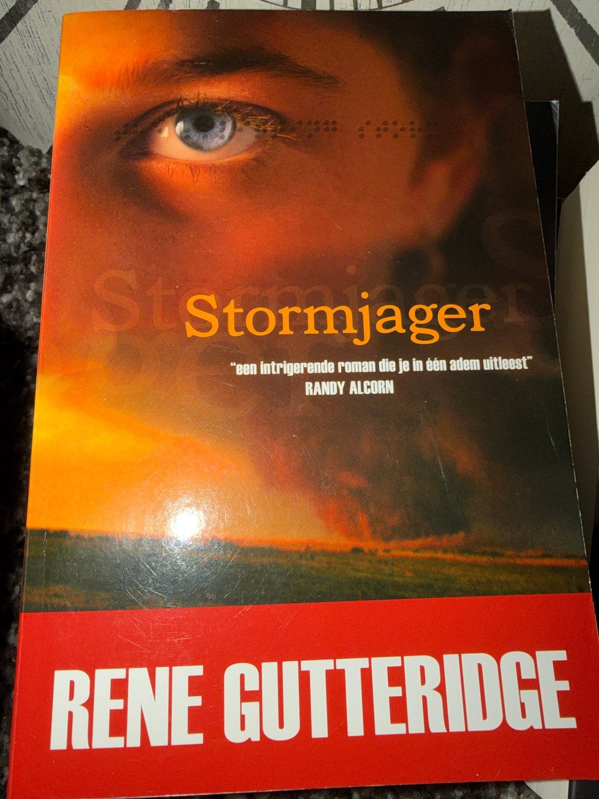 B2.   Stormjager - René Gutteridge (Roman), Ophalen of Verzenden, Gelezen, Nederland