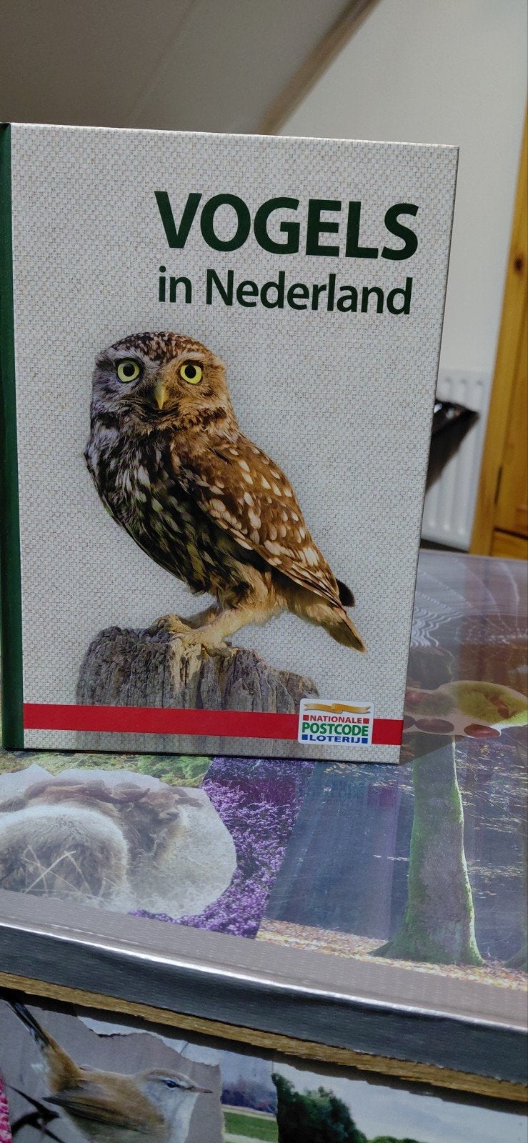 Vogels in Nederland - Prachtig geïllustreerd boek, Boeken, Ophalen of Verzenden, Zo goed als nieuw, Vogels