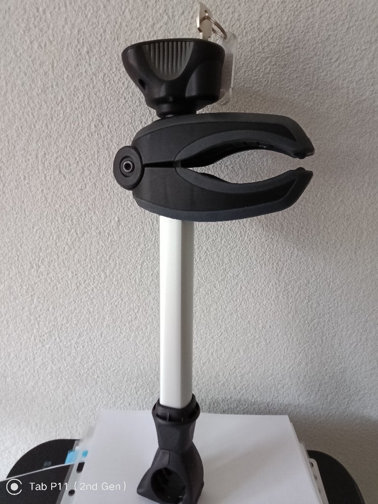 Thule Bikeholder 2, Elektrische fiets, Ophalen of Verzenden, Zo goed als nieuw, Fietsendrager-accessoire