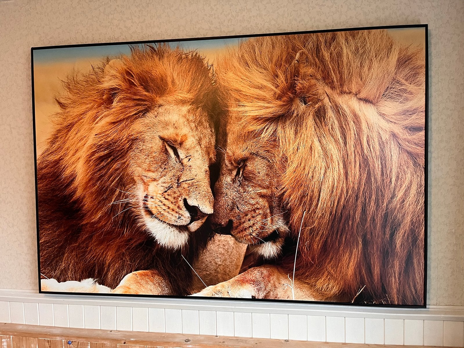 Schilderij print op doek - Leeuwen - 100x150 cm, Huis en Inrichting, Ophalen, Gebruikt, 125 cm of meer, Print