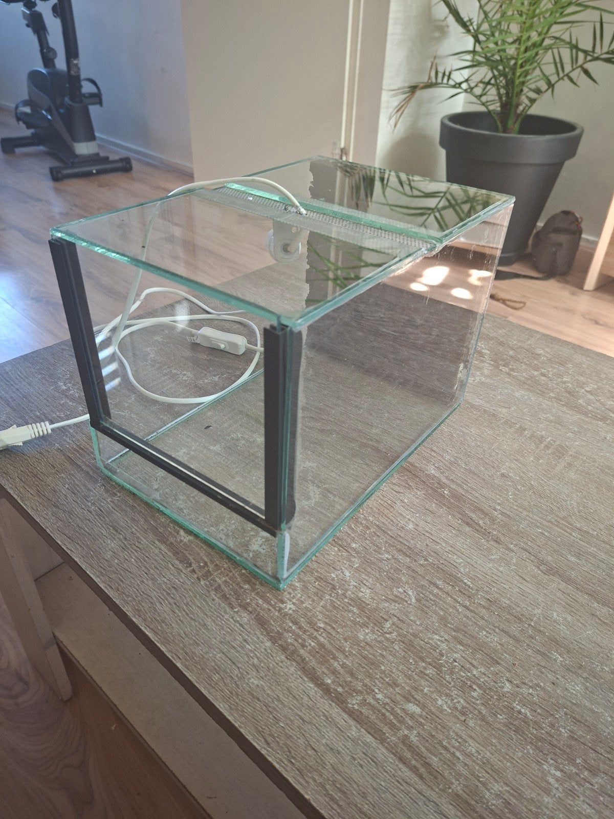 klein terrarium, Dieren en Toebehoren, Insecten en Spinnen