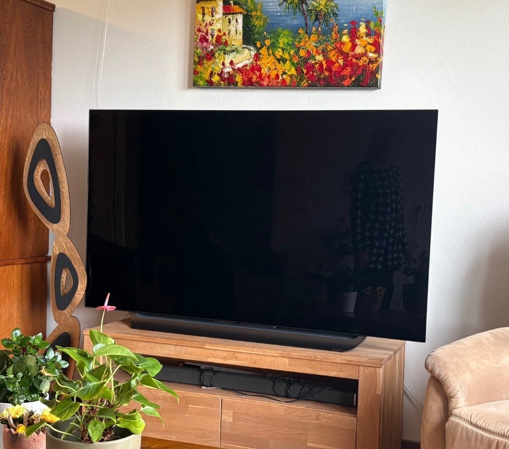 Foto 3 van 65inch LG Smart TV OLED OLED65C8PLA 4k UHD