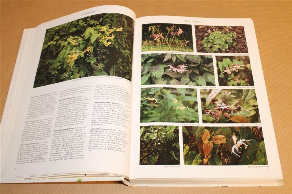 Vaste Planten — 2500+ Foto's — Spectrum Natuurgids, Boeken, Ophalen of Verzenden, Gelezen, Bloemen, Planten en Bomen