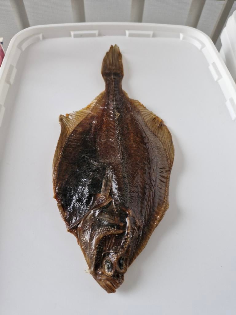 Gedroogde platvis, Ophalen of Verzenden