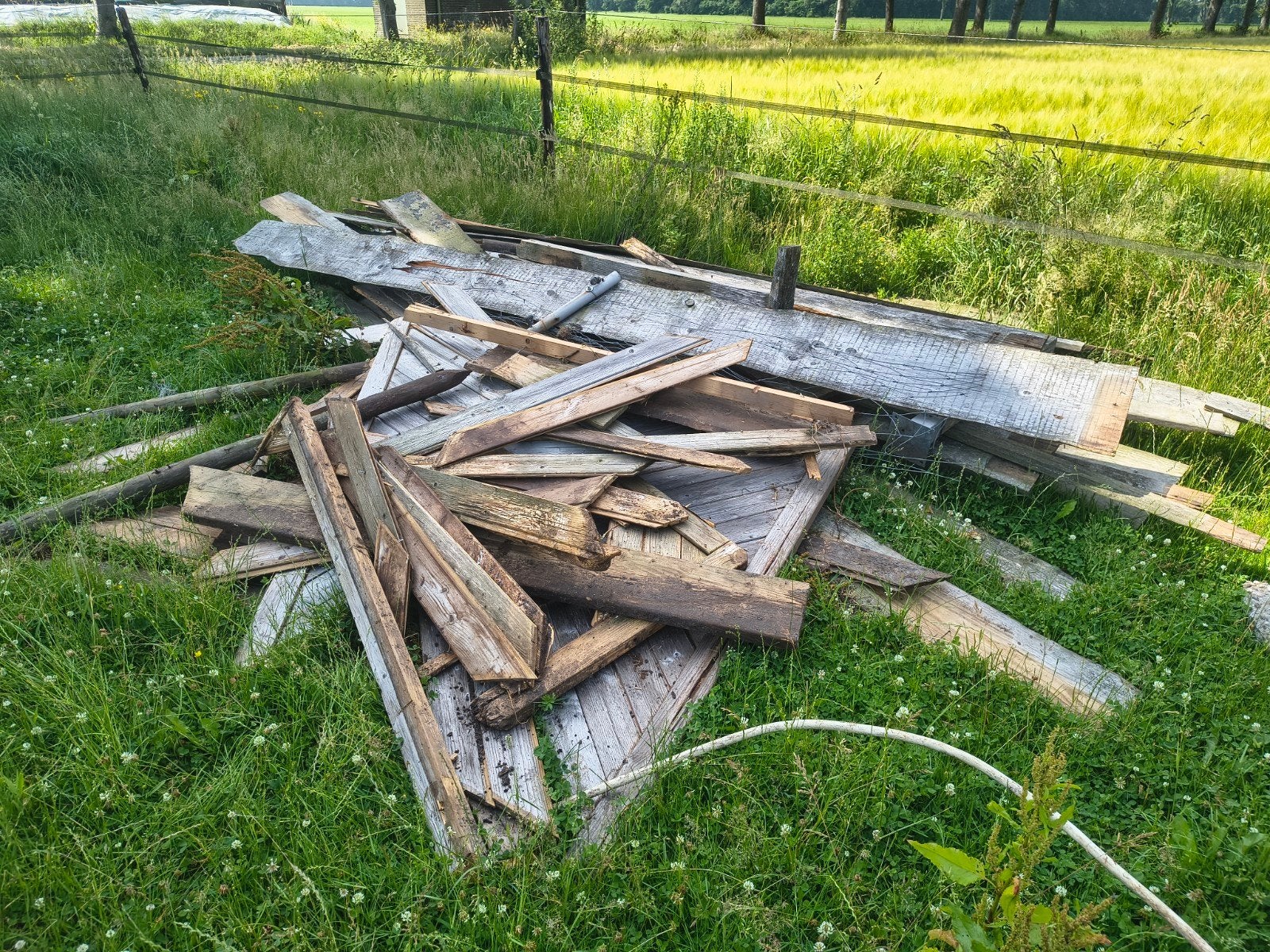 Gratis hout/brandhout, Gebruikt, 25 tot 50 mm, Ophalen of Verzenden, 200 tot 250 cm
