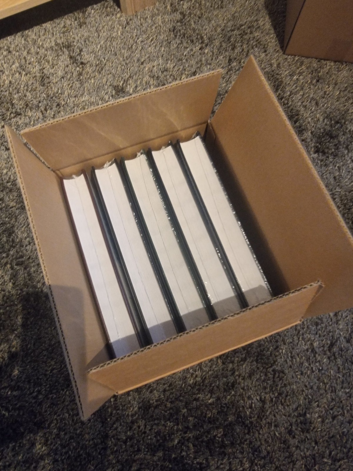 5 nieuwe postzegelalbums Leuchtturm 32 bladen , 64 blz, Postzegels en Munten, Postzegels | Volle albums en Verzamelingen, Ophalen of Verzenden