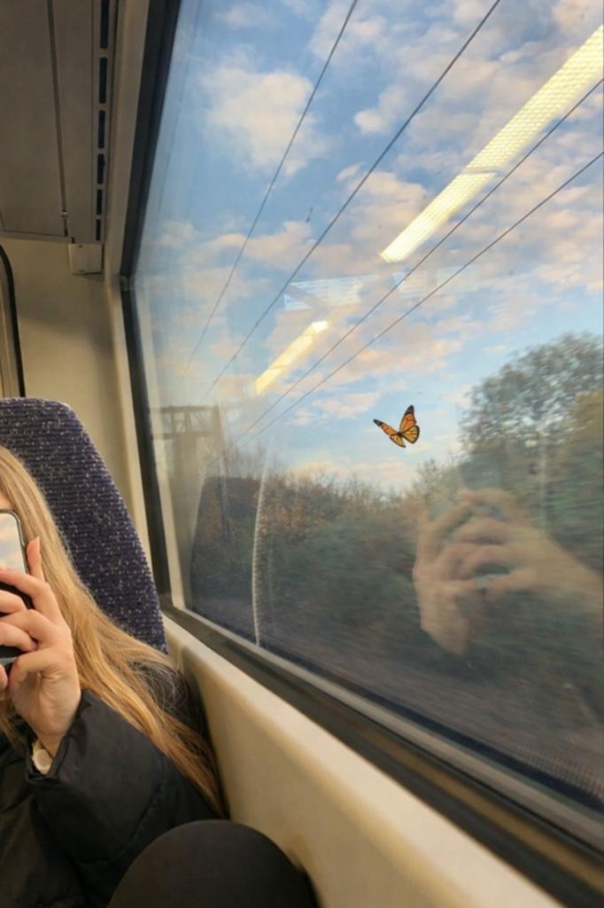 op de treinreis naar huis