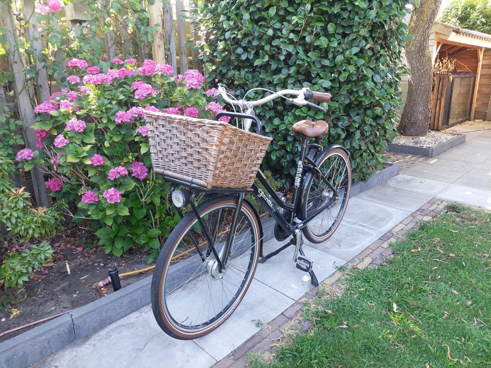 Gazelle Miss Grace damesfiets met mand en 3 versnellingen, Ophalen, Terugtraprem, Versnellingen, Gazelle