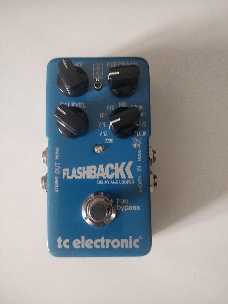 Flashback Delay TC Electronic, Muziek en Instrumenten, Effecten, Zo goed als nieuw, Delay of Echo, Ophalen