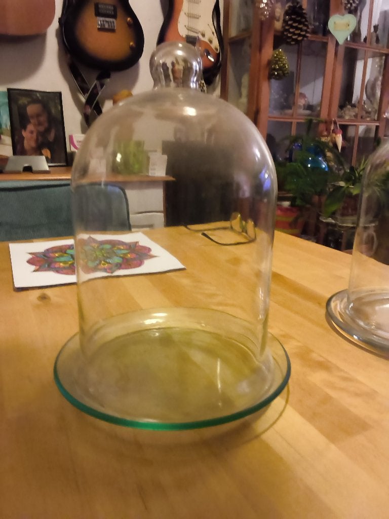 Glazen stolp, 25 cm, Ophalen of Verzenden, Zo goed als nieuw, Met plateau
