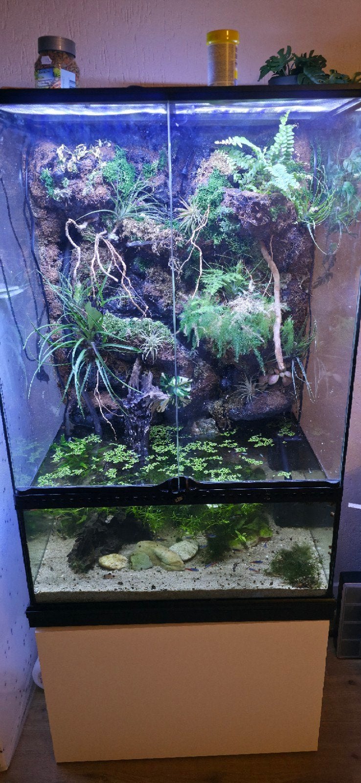 Paludarium 92x60x45 met waterval en mistmaker (zie omsch), Dieren en Toebehoren, Ophalen