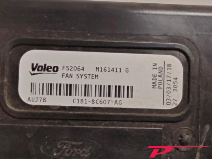 Koelvin van een Ford Fiesta, Gebruikt, -, -, Ophalen of Verzenden