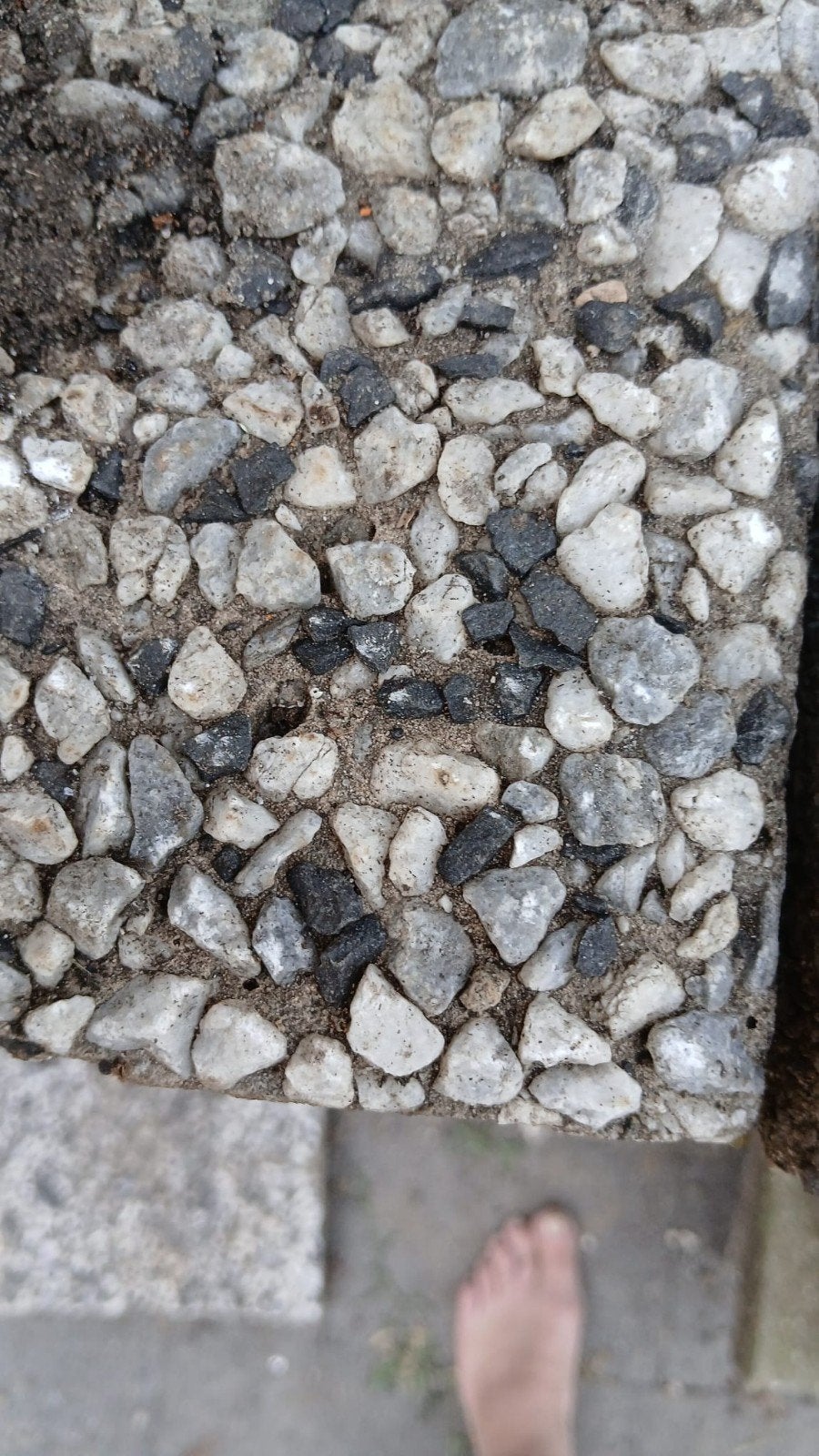 Zwart witte betontegels 40 bij 60 gratis, Tuin en Terras, Ophalen