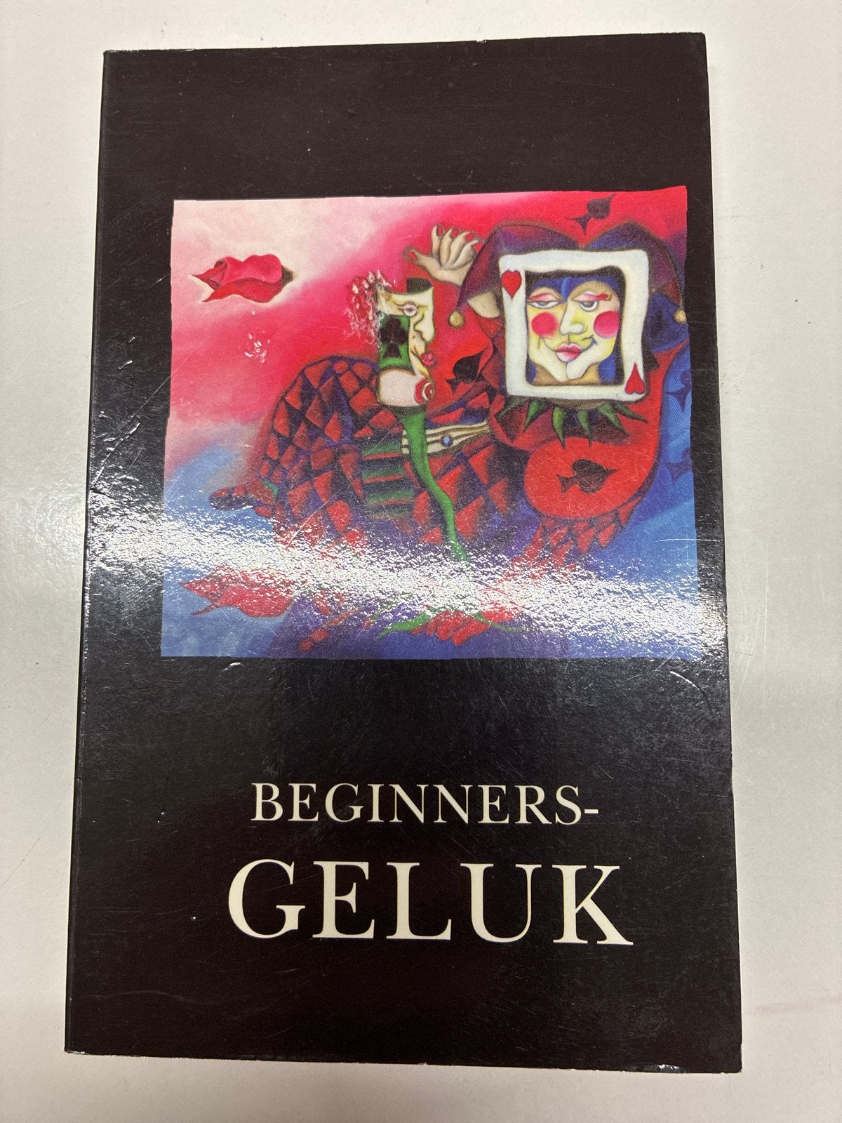 Beginnersgeluk - Holland Casino Boek, Ophalen of Verzenden, Gelezen