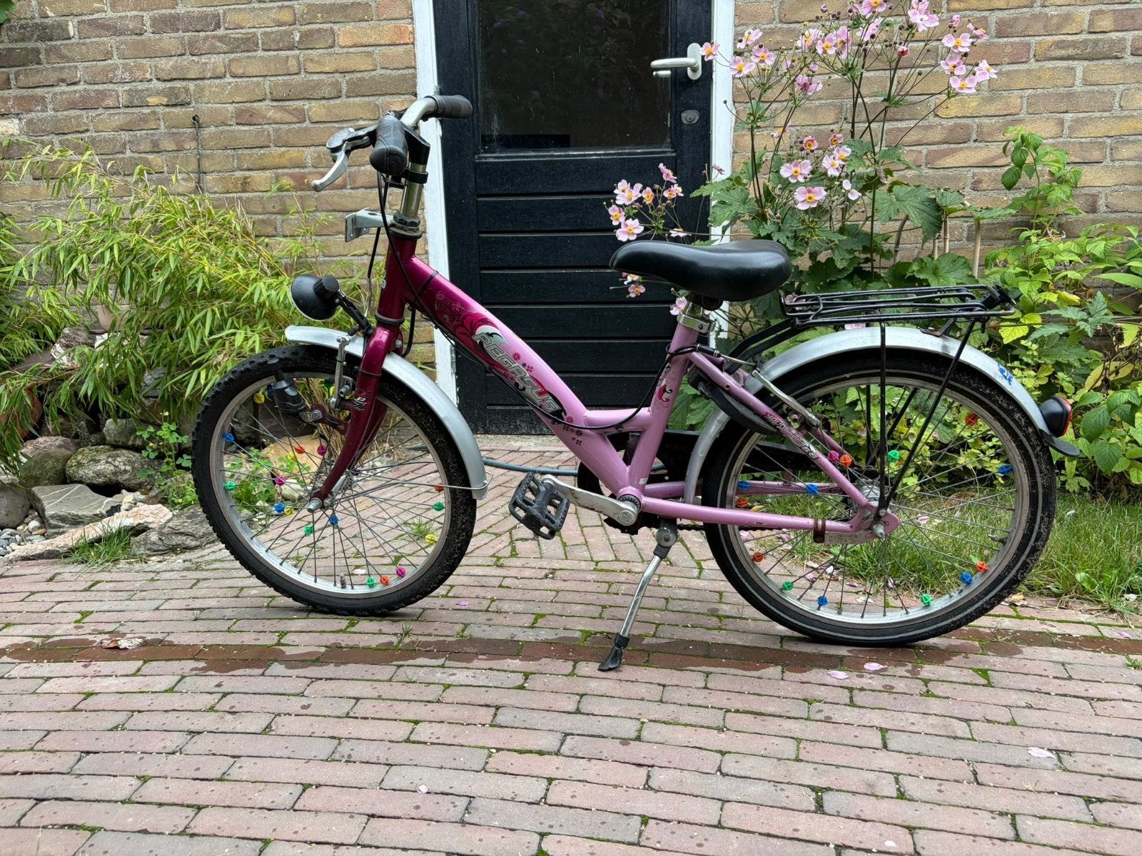 Pegasus meisjesfiets 20 inch - Roze, Ophalen, Terugtraprem, Gebruikt, Handrem