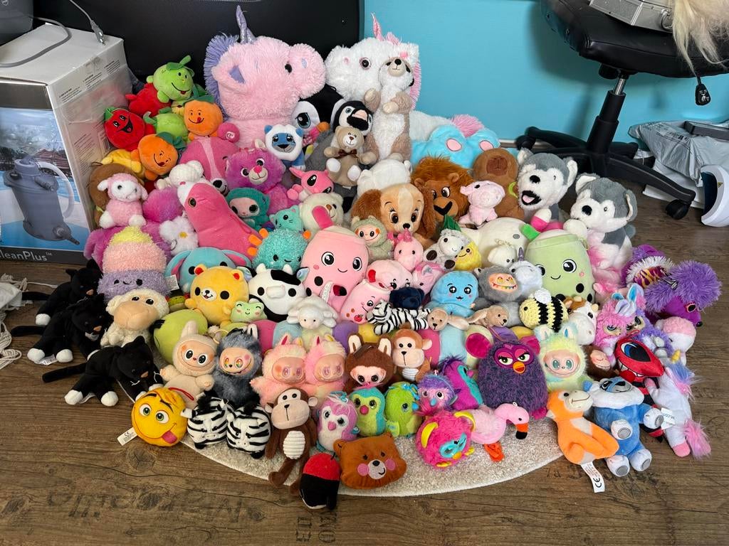 diverse knuffels: Hatchimals, unicorns, labubu en vele ander, Gebruikt, Overige karakters, Ophalen of Verzenden, Middelgroot (20 tot 80 cm)