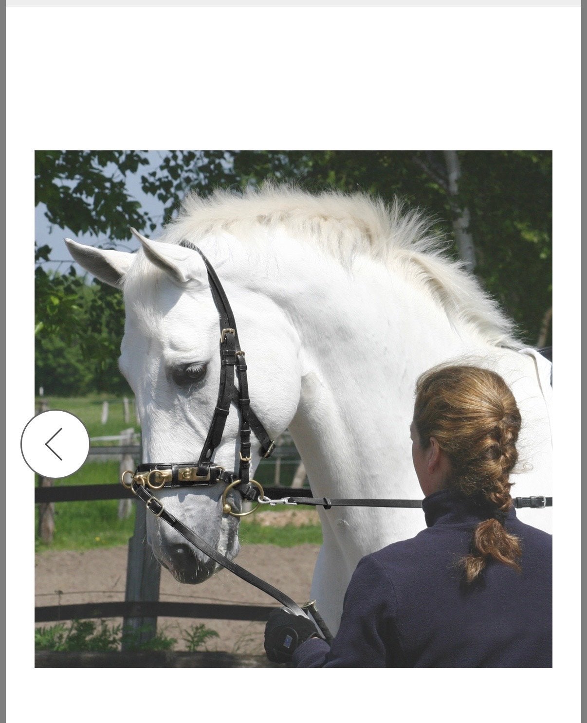 Heel mooi Busse full kaptoom, Ophalen of Verzenden, Kaptoom, Full