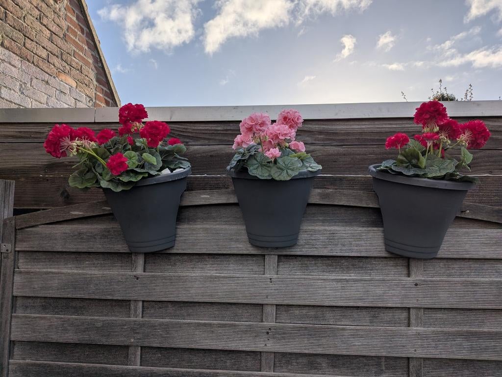 set van 3 Elho Green Basics Flower Bridge balkonbakken, Tuin en Terras, Bloembakken en Plantenbakken, Ophalen, Nieuw, Kunststof