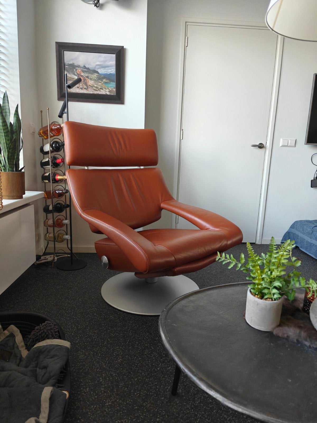 De Sede DS-255 - Cognac kleur, Ophalen, Bruin, Design, Leer