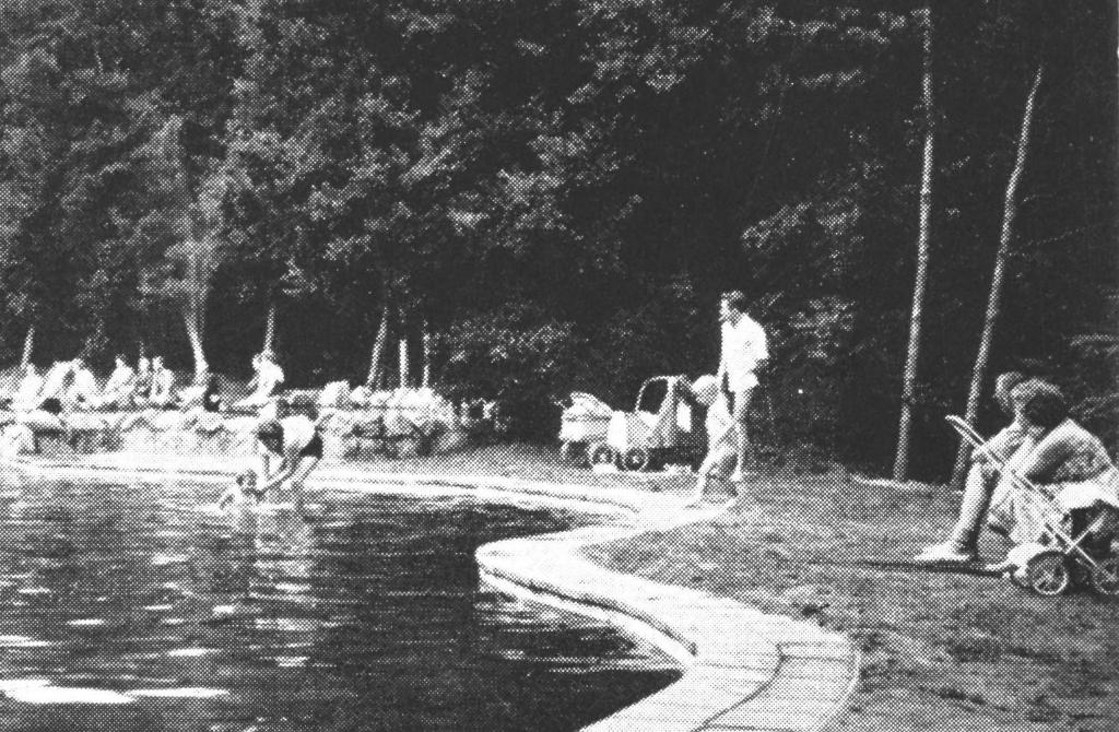 983725 Nieuw Milligen Rabbit Hill Gld 1963  Zegel Koeltorens, Ophalen of Verzenden, 1960 tot 1980, Gelopen, Gelderland