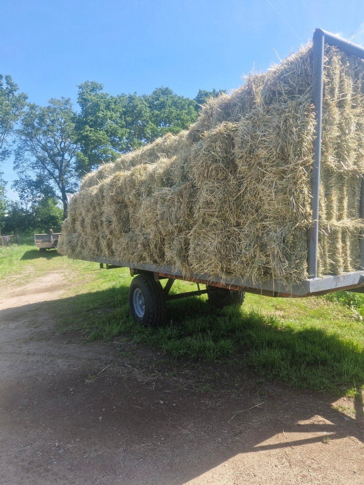 Volle wagen hooibalen., Ophalen, Vee