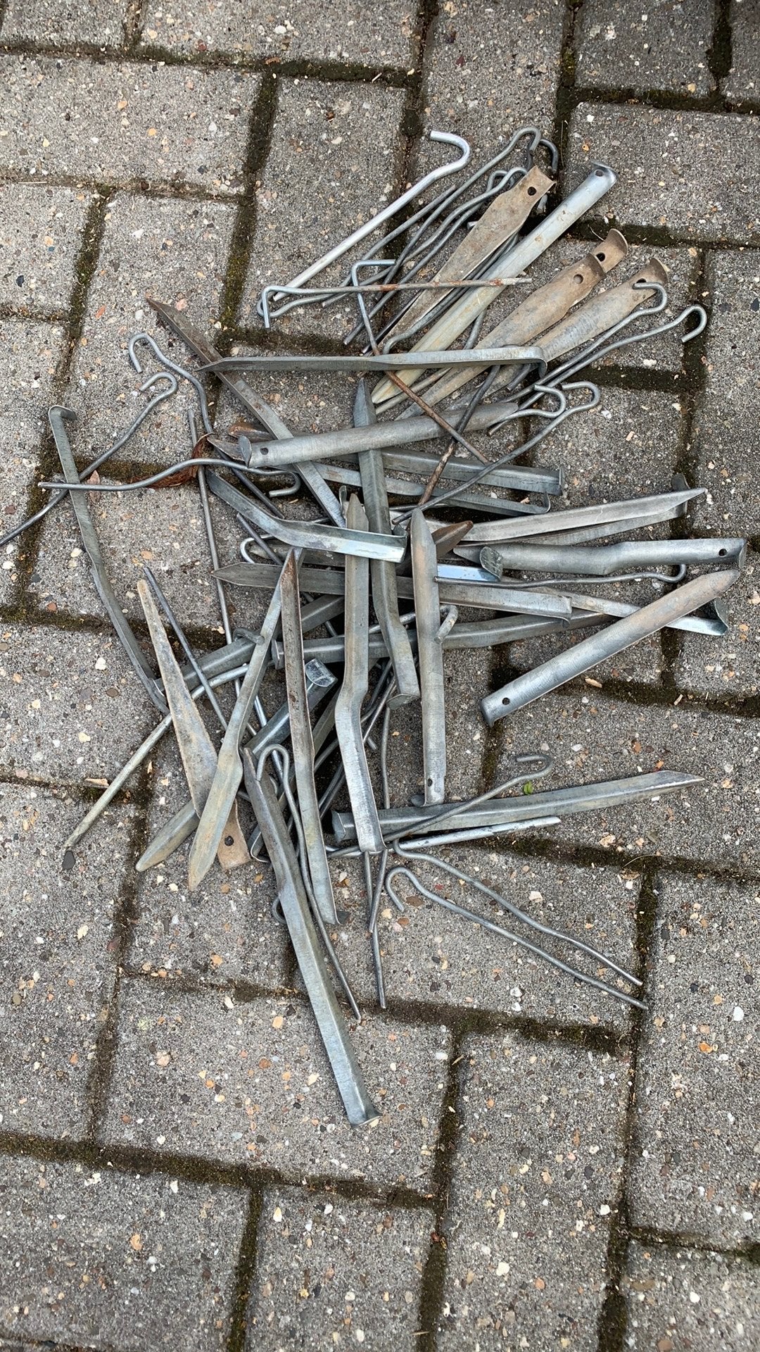Haringen tentharingen, Ophalen of Verzenden, Gebruikt