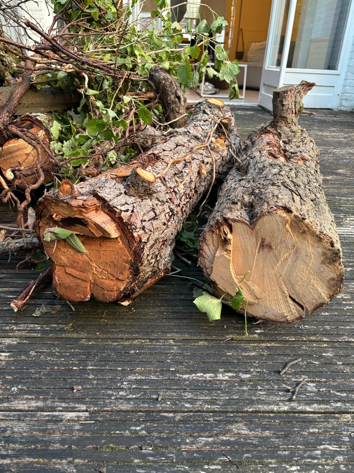 Perenhout boomstam en takken, Minder dan 3 m³, Ophalen, Overige houtsoorten, Stammen