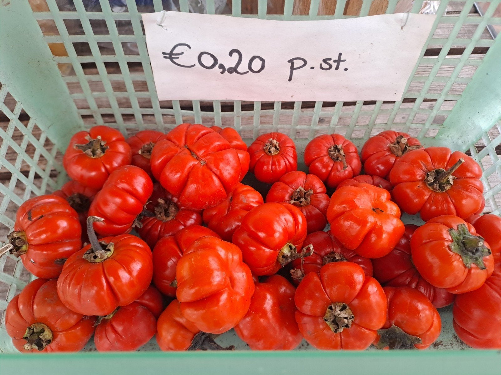 Oranje pompoentjes, Ophalen
