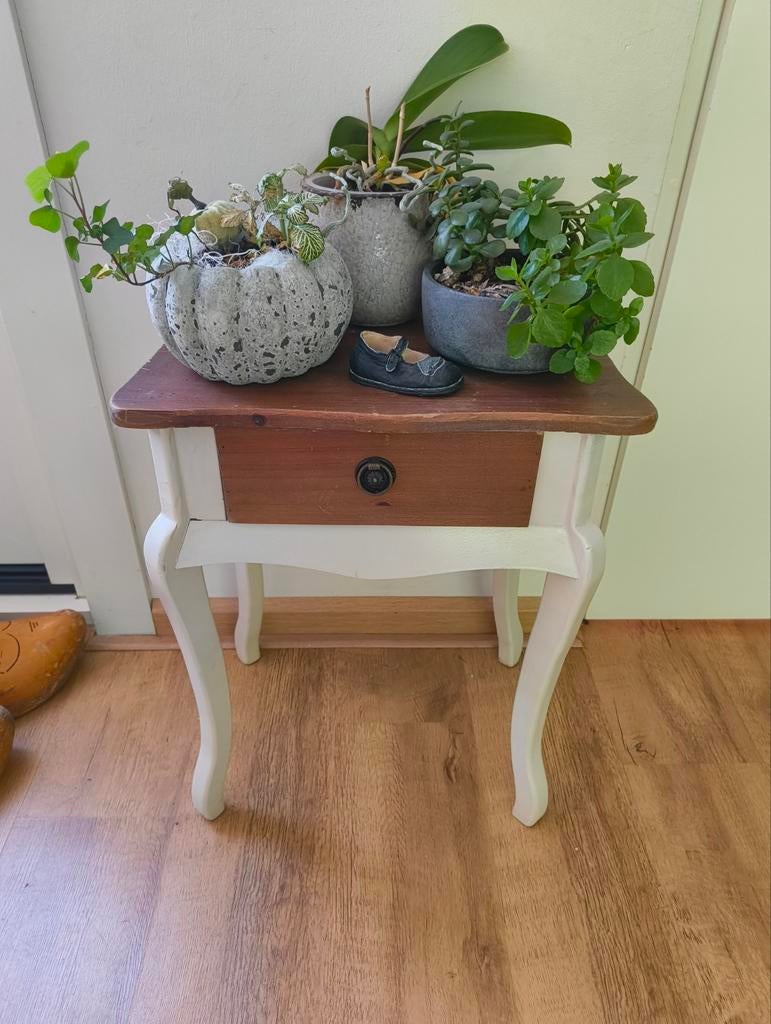 Bijzettafel/nachtkastje inclusief planten, Ophalen, Zo goed als nieuw, Rond, Minder dan 55 cm