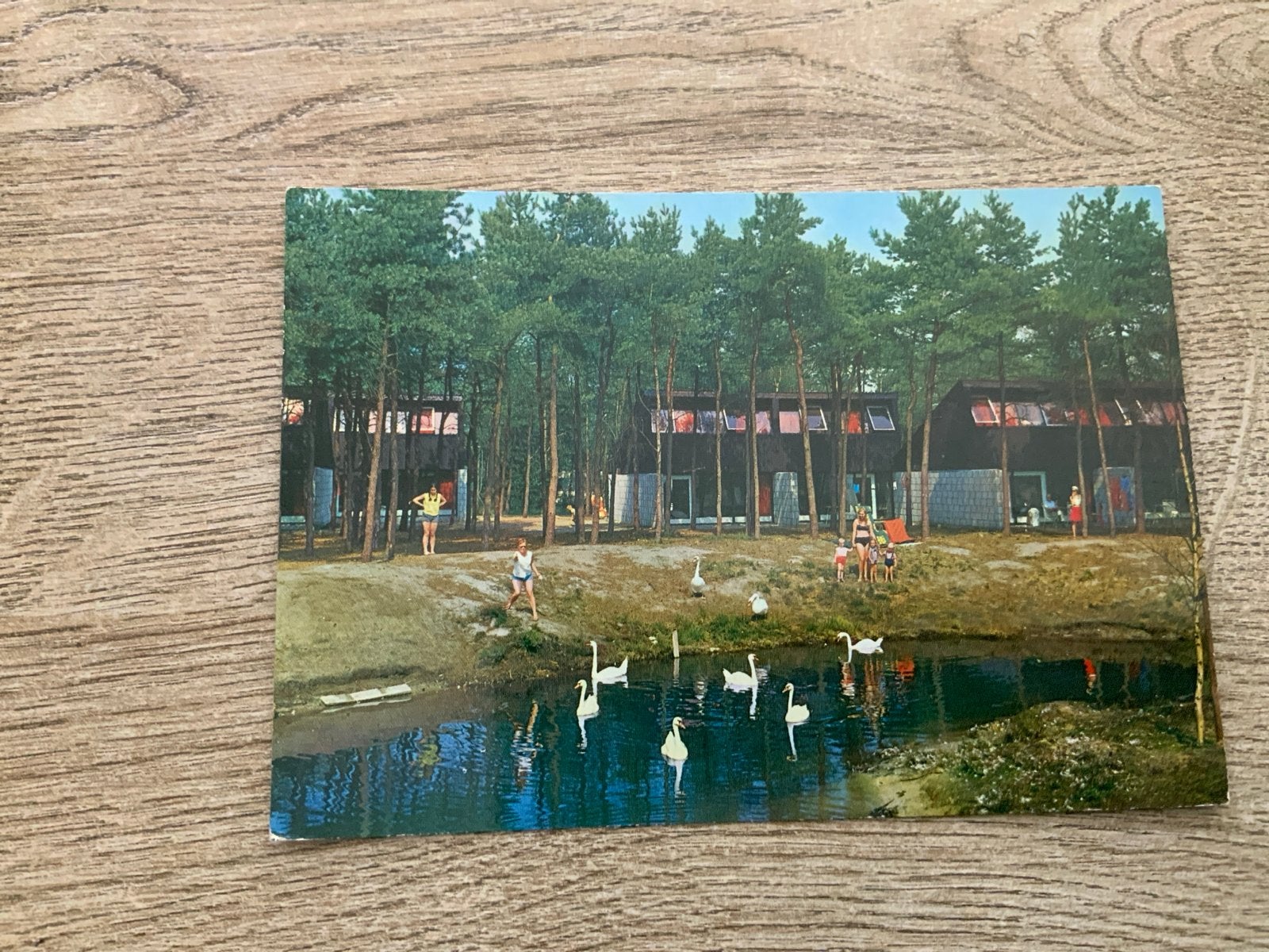 Het Vennenbos Hapert (N.Br.) Recreatiecentrum, Ophalen of Verzenden, 1960 tot 1980, Ongelopen, Noord-Brabant