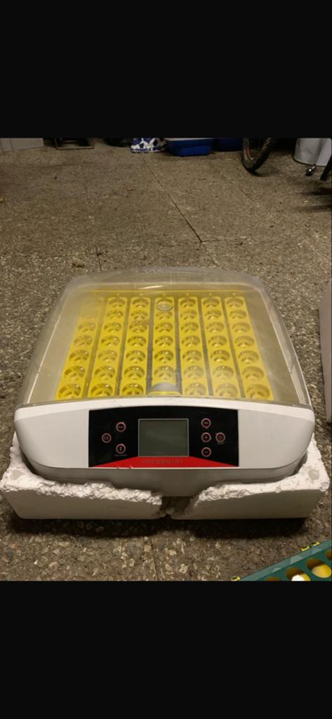 Volautomatische broedmachine voor 56 eieren, Dieren en Toebehoren, Ophalen of Verzenden, Zo goed als nieuw, Broedmachine