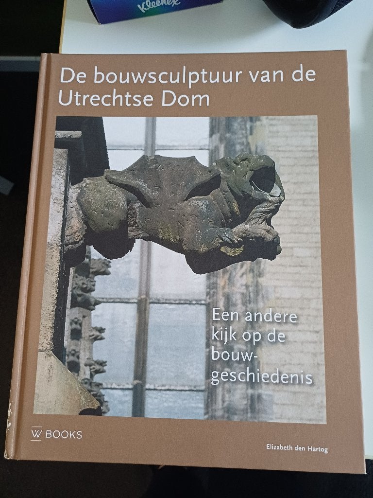 De bouwsculptuur van de Utrechtse dom, Ophalen of Verzenden, 15e en 16e eeuw, Zo goed als nieuw, Elizabeth den Hartog
